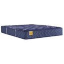  Size_Twin XL  -- Remmington Medium Tight Top Mattress (Twin XL) IMAGE 1
