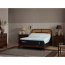  Size_Twin XL  --  Tempur-ProAdapt® Medium Mattress (Twin XL) IMAGE 5