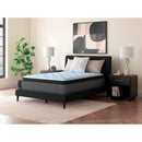 Size_Twin XL  -- Destin Cove PT M33271 Twin XL Mattress IMAGE 3