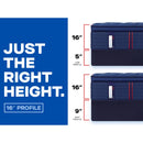  Size_Split California King  --  Brenham II Euro Pillow Top Medium Mattress (Split California King) IMAGE 14
