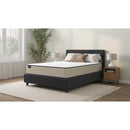  Sherwood Bedding Group Charming Medium Tight Top Mattress (Queen) IMAGE 1