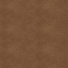 Bolsena Sofa Sleeper - Atchison Furniture Company (Atchison, KS)