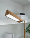 Yafe Desk Lamp - Atchison Furniture Company (Atchison, KS)