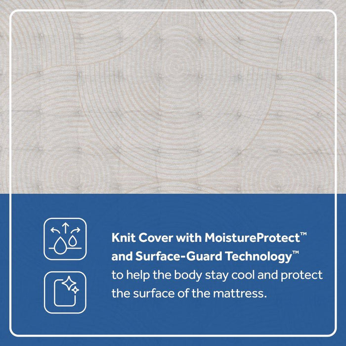 Desert Rose Spring Mattress - Atchison Furniture Company (Atchison, KS)