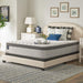 Spring Bloom EPT Mattress - Atchison Furniture Company (Atchison, KS)