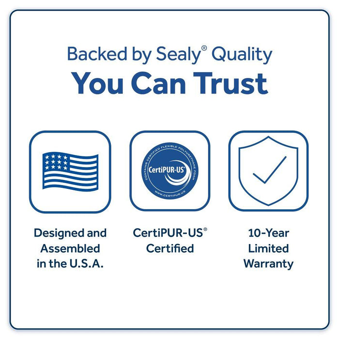 Desert Rose Spring Mattress - Atchison Furniture Company (Atchison, KS)