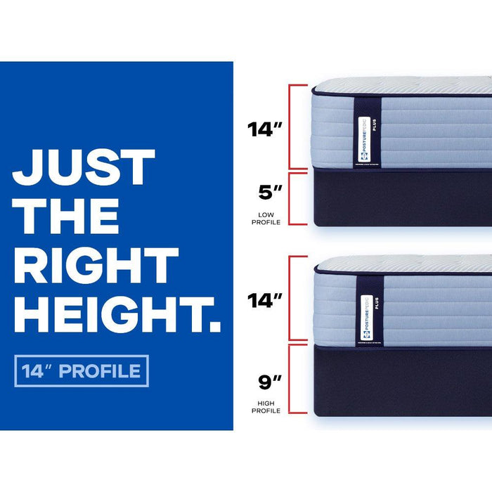 Plainfield Spring Mattress - Atchison Furniture Company (Atchison, KS)