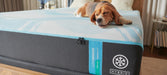 Tempur-Pedic LuxeBreeze Medium Hybrid Mattress - Atchison Furniture Company (Atchison, KS)